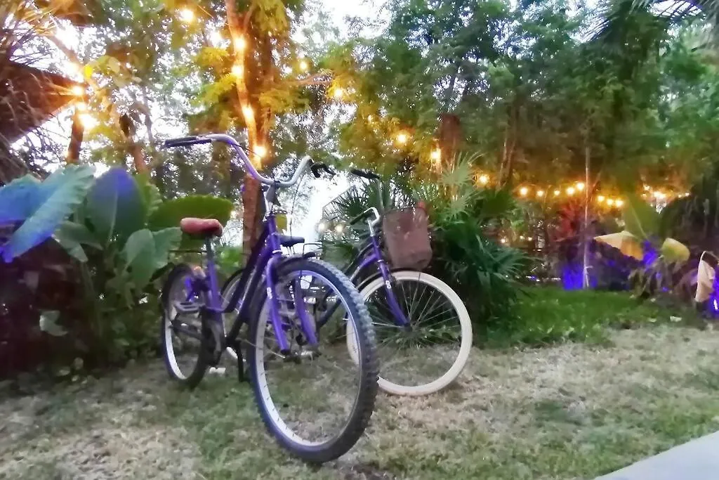 Dk31 Wifi 600Mb, Cheap Scooters By Moikkarentals Tulum Mexico
